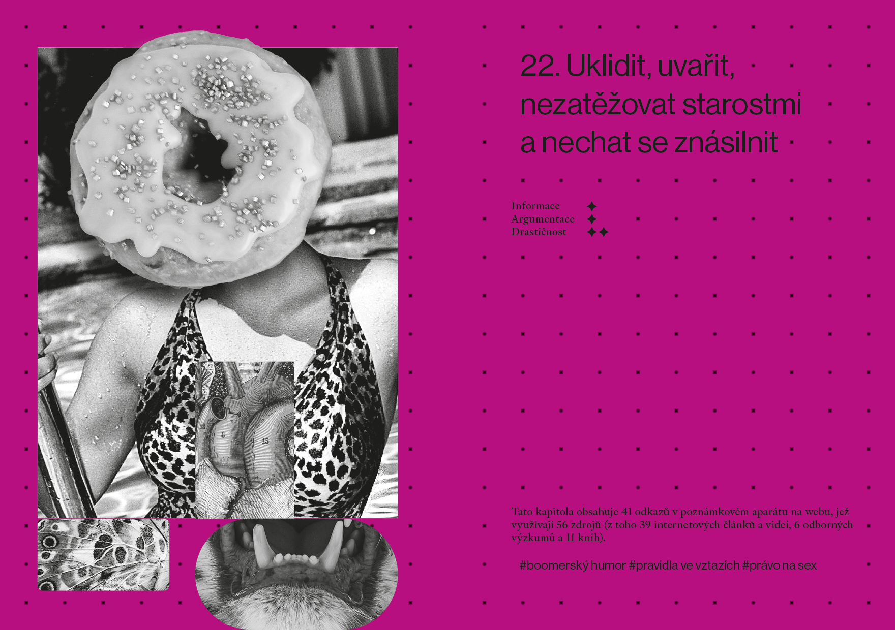 22. Uklidit, uvařit, nezatěžovat starostmi a nechat se znásilnit